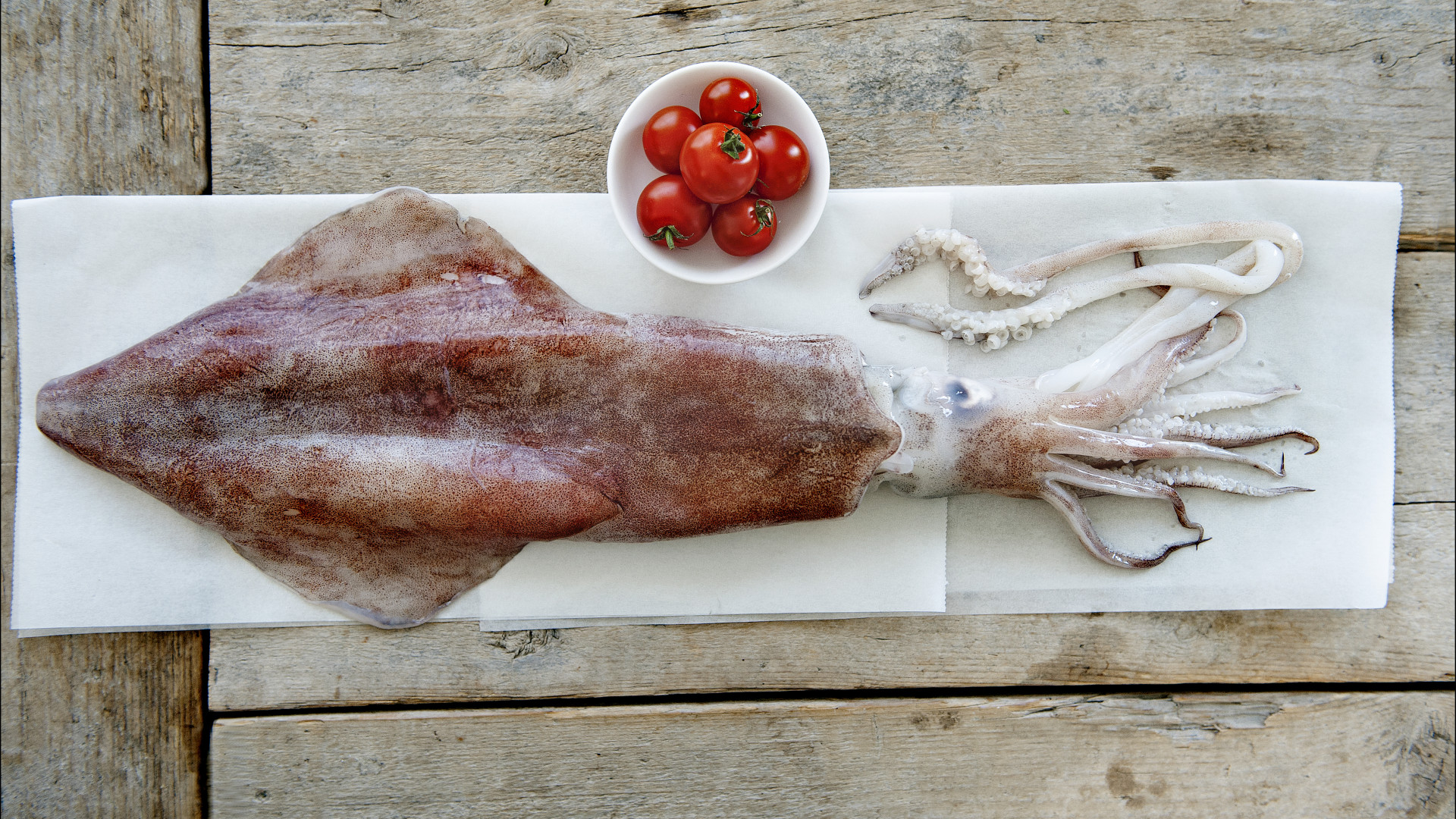 Pijlinktvis, vis van de maand februari